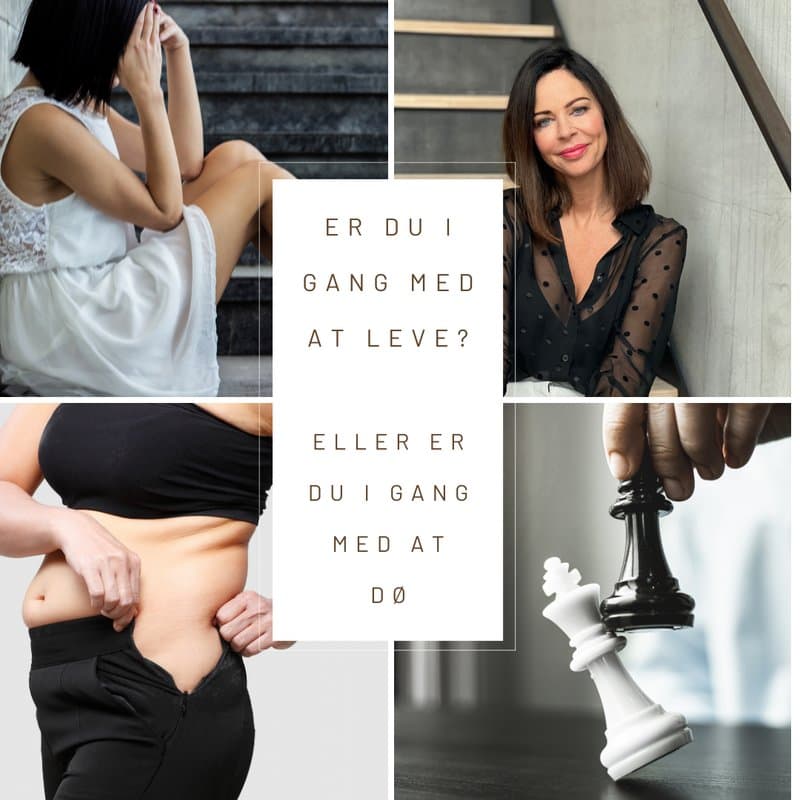 “Er du i gang med at leve …” som e-bog