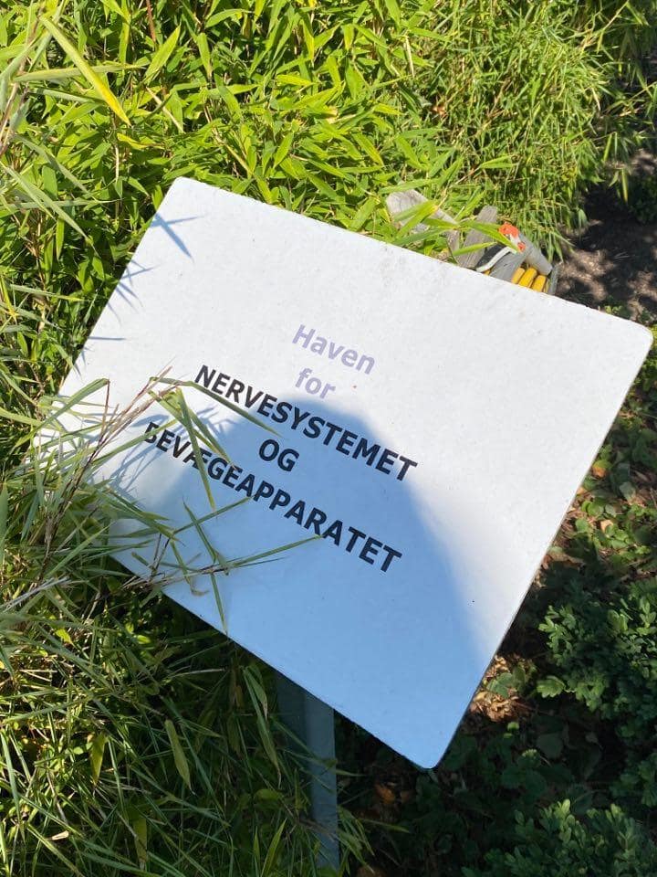 medicinske haver 4.jpg